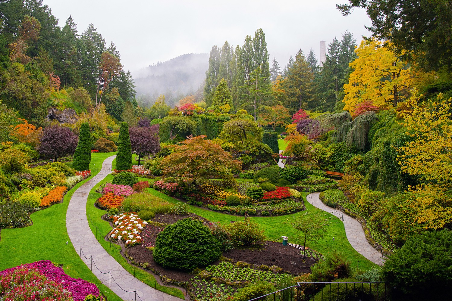 Tempat Terbaik untuk Melihat Dedaunan Musim Gugur di Pacific Northwest 